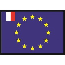 FRANCE E. U. FLAG